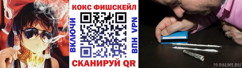 COCAIN Fish Scale  где купить наркоту  маркетплейс какой сайт  Карачев 