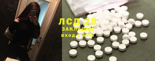 хмурый Арсеньев