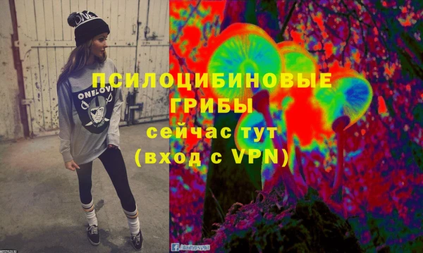 мяу мяу мука Алексин