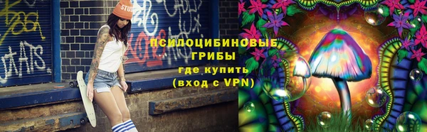 тгк Аркадак