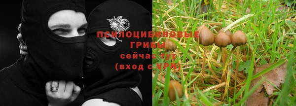 ECSTASY Россошь