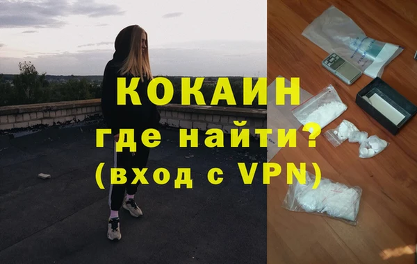 сатива Рославль
