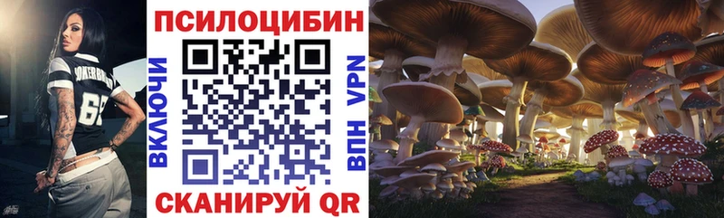 как найти наркотики  Карачев  Галлюциногенные грибы прущие грибы 